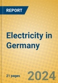 Electricity in Germany- Product Image