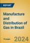 Manufacture and Distribution of Gas in Brazil - Product Thumbnail Image