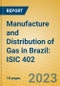 Manufacture and Distribution of Gas in Brazil: ISIC 402 - Product Image