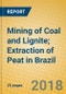Mining of Coal and Lignite; Extraction of Peat in Brazil - Product Thumbnail Image