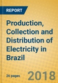 Production, Collection and Distribution of Electricity in Brazil- Product Image