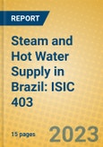 Steam and Hot Water Supply in Brazil: ISIC 403- Product Image