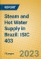 Steam and Hot Water Supply in Brazil: ISIC 403 - Product Thumbnail Image