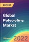 Global Polyolefins Market Analysis By Type (Polyethylene (PE), Polypropylene (PP), Polyvinyl Chloride (PVC), Ethylene-Vinyl Acetate (EVA), Others), By Application, By Region, Competition Forecast & Opportunities, 2015 - 2025 - Product Thumbnail Image