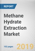 Methane Hydrate Extraction Market: Opportunity Analysis and Industry Forecast, 2021-2025- Product Image