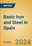 Basic Iron and Steel in Spain- Product Image
