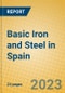 Basic Iron and Steel in Spain - Product Thumbnail Image