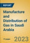 Manufacture and Distribution of Gas in Saudi Arabia - Product Image