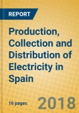 Production, Collection and Distribution of Electricity in Spain- Product Image