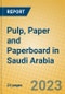 Pulp, Paper and Paperboard in Saudi Arabia - Product Image
