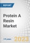 Protein A Resin Market by Product (Agarose-based, Glass/Silica-based, Organic polymer-based), Type (Recombinant Protein A, Natural Protein A), Application (Antibody Purification, Immunoprecipitation), End User & Region - Global Forecast to 2028 - Product Image