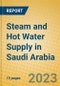 Steam and Hot Water Supply in Saudi Arabia - Product Image