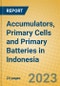 Accumulators, Primary Cells and Primary Batteries in Indonesia: ISIC 314 - Product Image