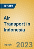 Air Transport in Indonesia: ISIC 62- Product Image