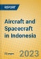 Aircraft and Spacecraft in Indonesia: ISIC 353 - Product Image