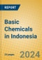 Basic Chemicals in Indonesia - Product Thumbnail Image