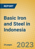 Basic Iron and Steel in Indonesia: ISIC 271- Product Image