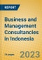 Business and Management Consultancies in Indonesia: ISIC 7414 - Product Image