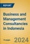 Business and Management Consultancies in Indonesia: ISIC 7414 - Product Image