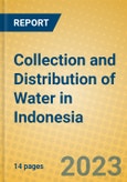 Collection and Distribution of Water in Indonesia: ISIC 41- Product Image