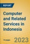 Computer and Related Services in Indonesia: ISIC 72 - Product Image