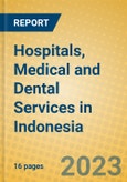 Hospitals, Medical and Dental Services in Indonesia: ISIC 851- Product Image