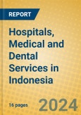 Hospitals, Medical and Dental Services in Indonesia: ISIC 851- Product Image