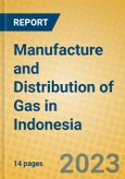 Manufacture and Distribution of Gas in Indonesia: ISIC 402- Product Image