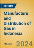 Manufacture and Distribution of Gas in Indonesia- Product Image