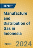 Manufacture and Distribution of Gas in Indonesia: ISIC 402- Product Image