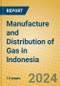 Manufacture and Distribution of Gas in Indonesia - Product Thumbnail Image