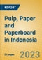 Pulp, Paper and Paperboard in Indonesia: ISIC 2101 - Product Image