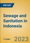Sewage and Sanitation in Indonesia: ISIC 90 - Product Image