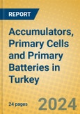 Accumulators, Primary Cells and Primary Batteries in Turkey- Product Image