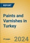 Paints and Varnishes in Turkey - Product Image