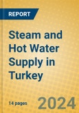 Steam and Hot Water Supply in Turkey- Product Image