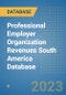 Professional Employer Organization Revenues South America Database - Product Thumbnail Image