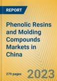 Phenolic Resins and Molding Compounds Markets in China- Product Image