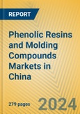 Phenolic Resins and Molding Compounds Markets in China- Product Image