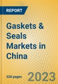 Gaskets & Seals Markets in China- Product Image