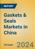 Gaskets & Seals Markets in China- Product Image