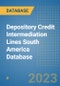 Depository Credit Intermediation Lines South America Database - Product Image