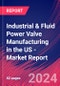 Industrial & Fluid Power Valve Manufacturing in the US - Industry Market Research Report - Product Image