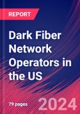 Dark Fiber Network Operators in the US - Market Research Report (2014-2029)- Product Image