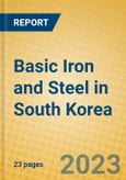 Basic Iron and Steel in South Korea- Product Image