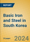 Basic Iron and Steel in South Korea- Product Image