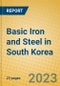 Basic Iron and Steel in South Korea - Product Image