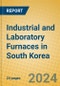 Industrial and Laboratory Furnaces in South Korea - Product Thumbnail Image