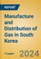 Manufacture and Distribution of Gas in South Korea - Product Thumbnail Image