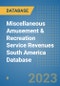 Miscellaneous Amusement & Recreation Service Revenues South America Database - Product Thumbnail Image
